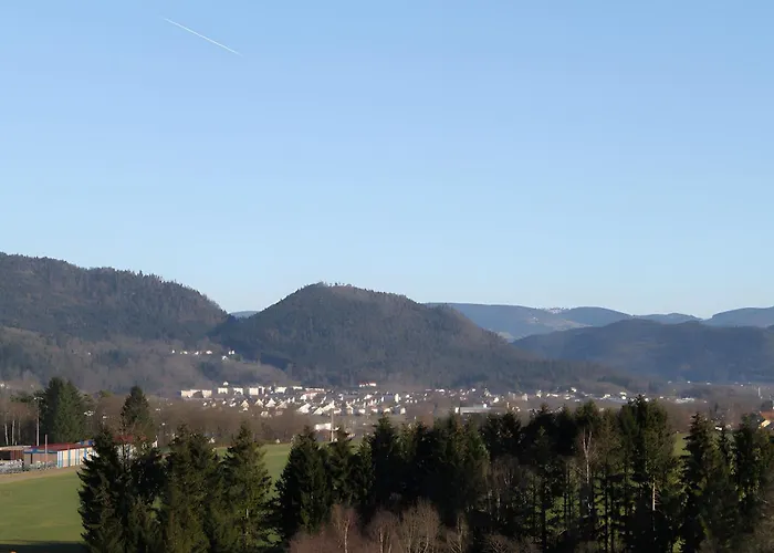 Les Boutons D'or Apartmán *